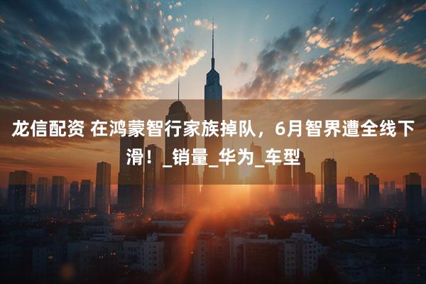 龙信配资 在鸿蒙智行家族掉队，6月智界遭全线下滑！_销量_华为_车型