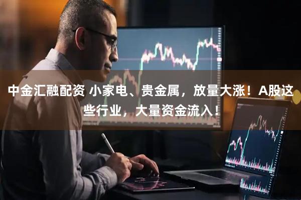 中金汇融配资 小家电、贵金属,放量大涨!A股这些行业,大量资金流入!